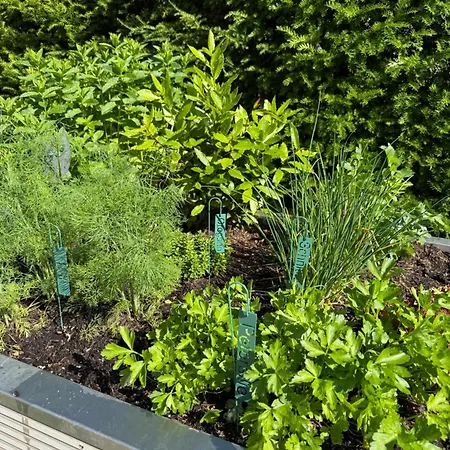 Hochwertiges In Bester Lage Фридрихсхафен